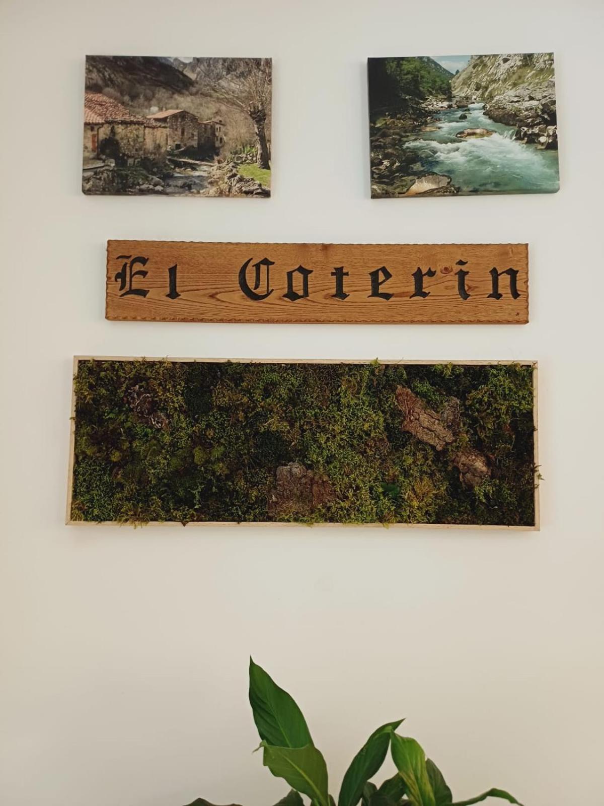 Hotel El Coterin Apartamentos Y Habitaciones Arenas De Cabrales Dış mekan fotoğraf